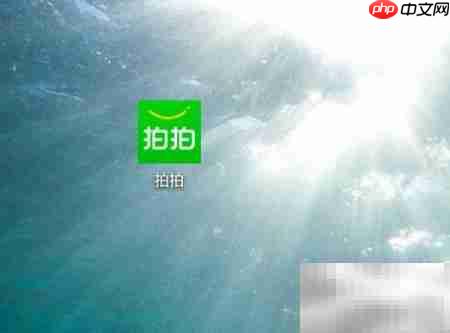 如何清理拍拍应用的缓存-拍拍清除缓存方法