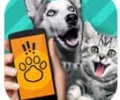 Pet Translator宠物对话翻译器最免费下载-Pet Translator正版下载